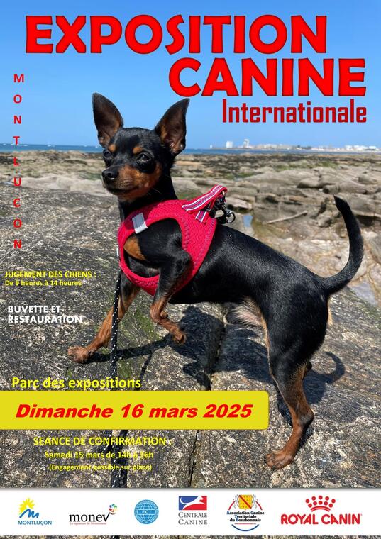 Exposition Canine Internationale_Montluçon