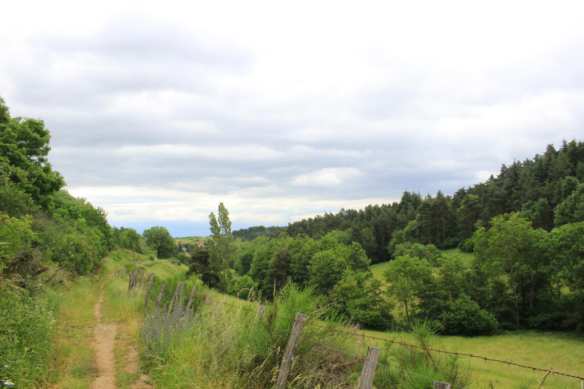 Vallon du Cotayet