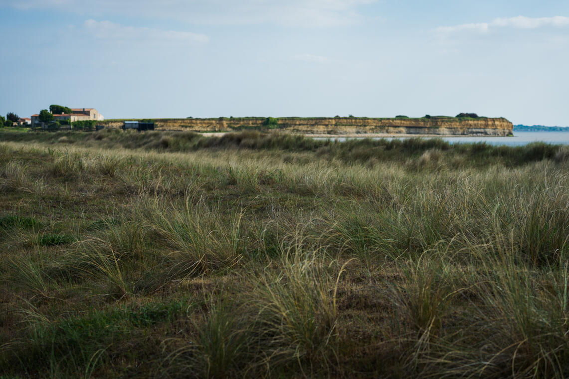 Les 4 saisons de la réserve naturelle du marais d'Yves