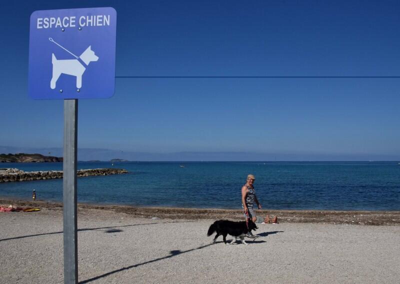 Doggy beach