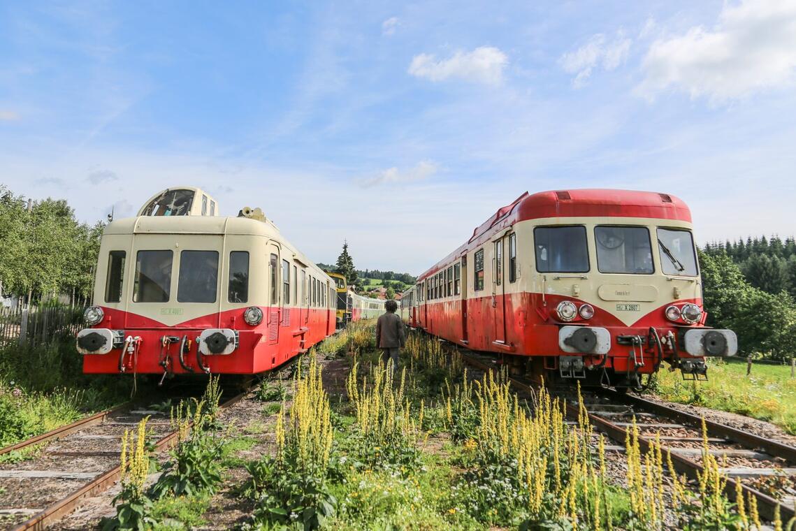 Train touristique du Haut-Forez - Navette de la Nuit des musées