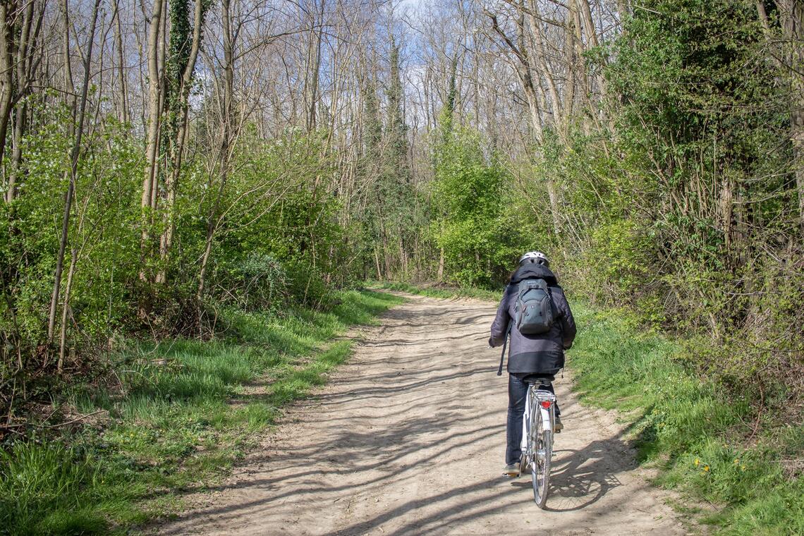 Randonnée VTT Dombes