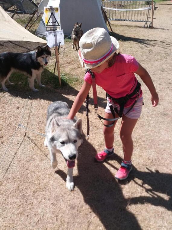 Baby musher - découverte chiens de traineaux_Venosc