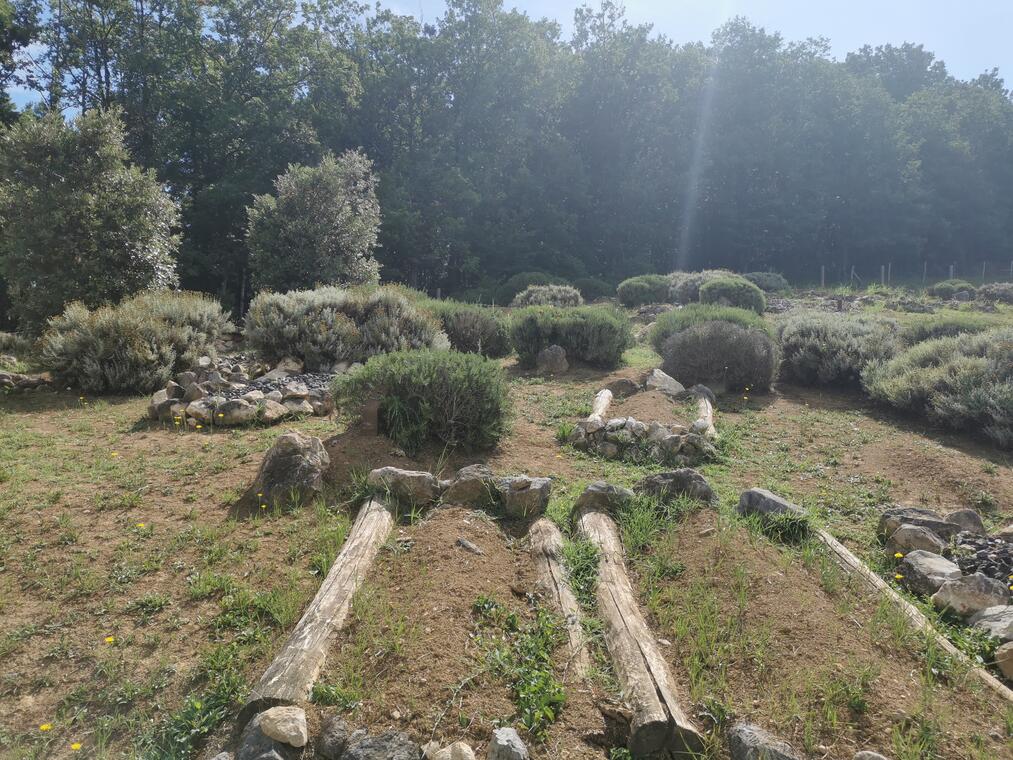 La nécropole de Tabariane