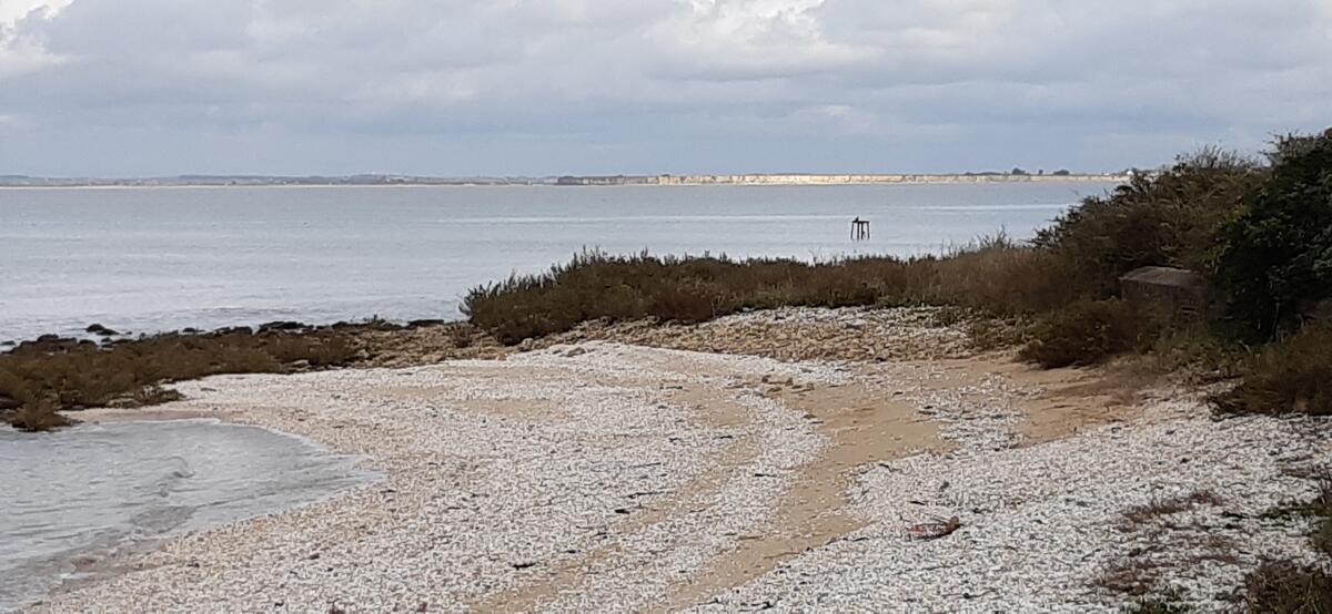 La baie d'Yves au fil des Temps - Les Temps modernes_Fouras-les-Bains