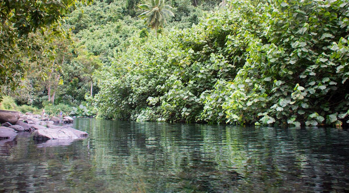 Source Vaima Horizontal 1 - Tahiti Tourisme