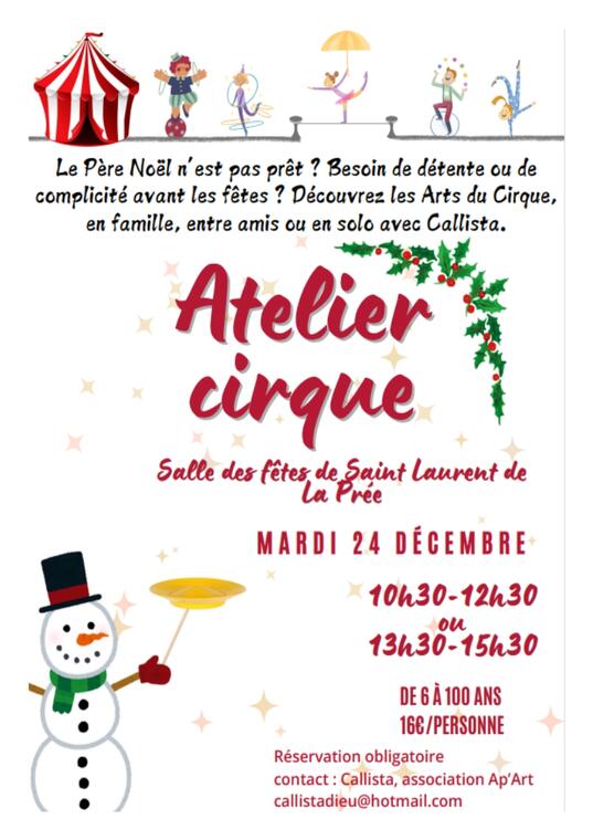 affiche du stage de cirque