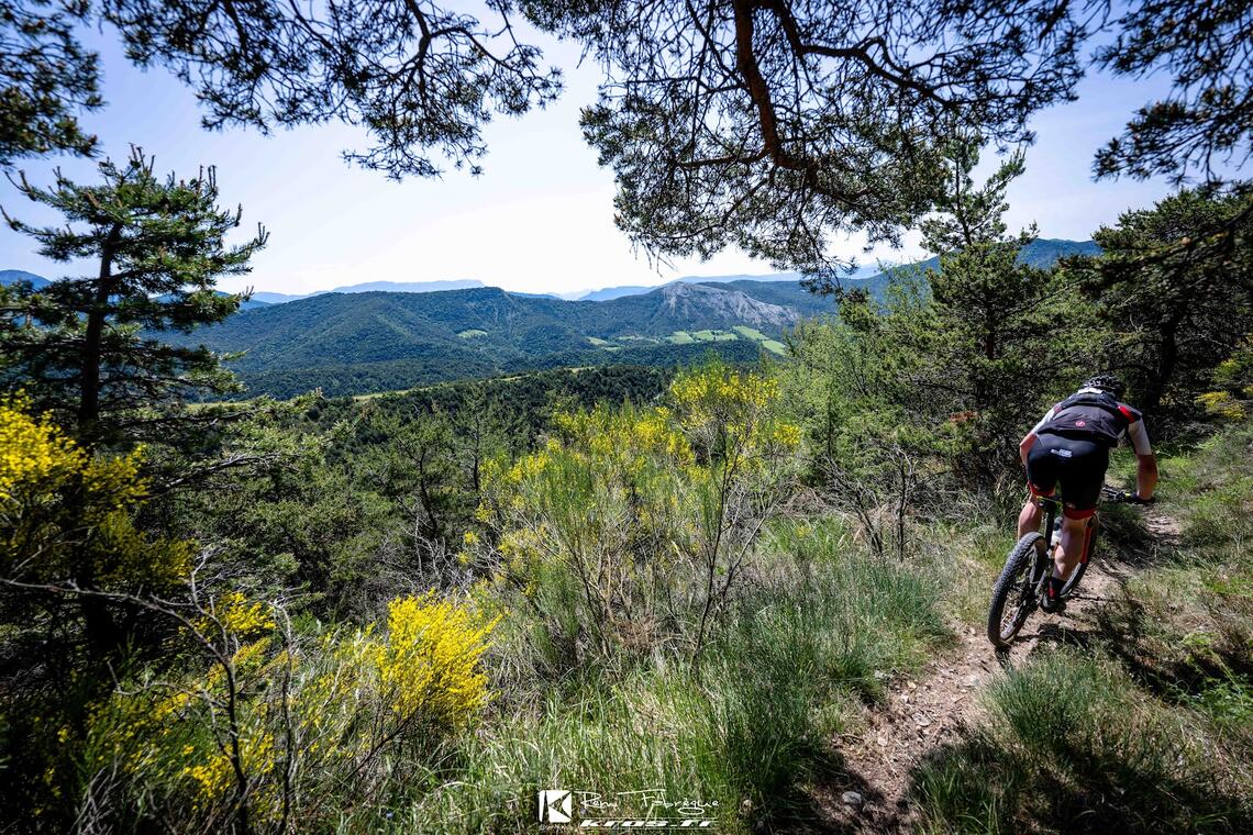 VTT
