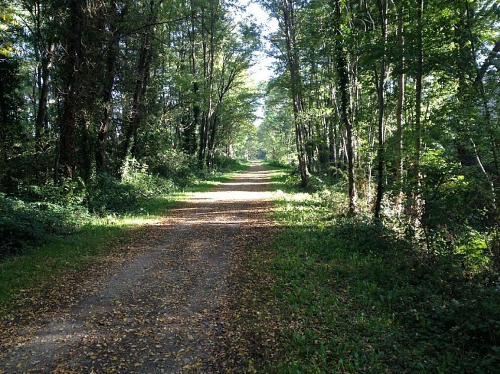 vue du sentier