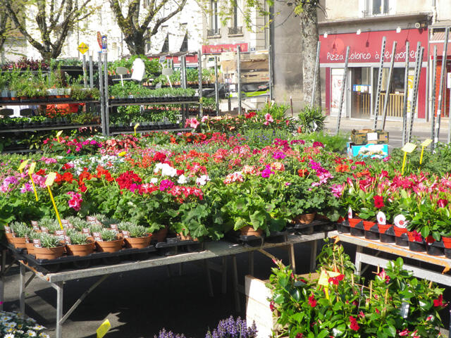 Marché aux fleurs