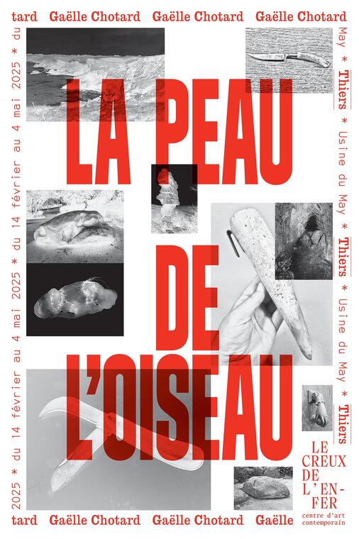 Visuel Expo La peau de l'oiseau