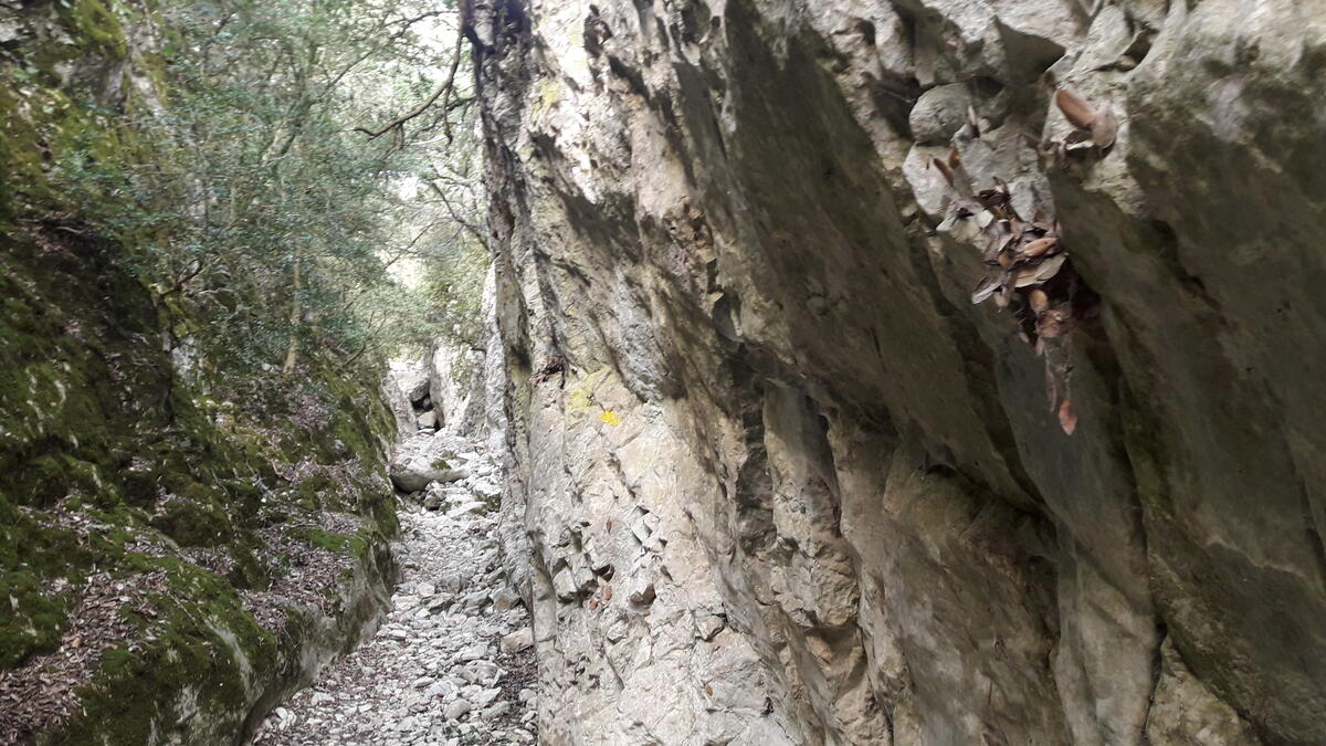 Sortie buissonnière "Les gorges de Vaumales"_Murs