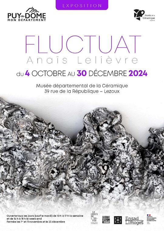 Affiche_expo_Fluctuat_MDLC