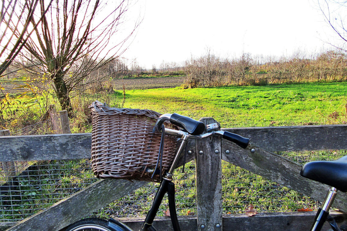 Nans les Pins - Le chemin de la Tuillières à vélo