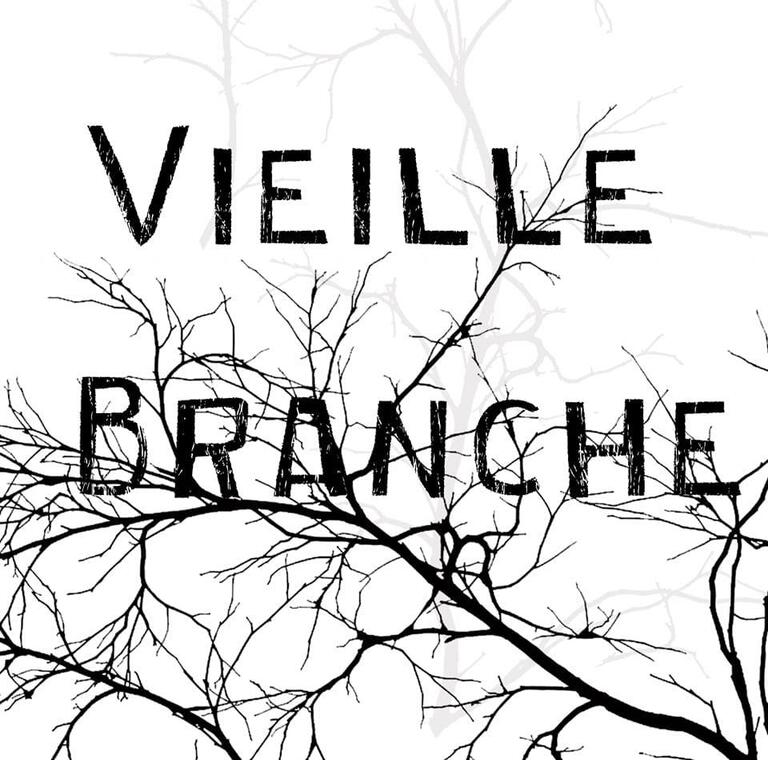 Pépinière Vieille Branche_Lieurac