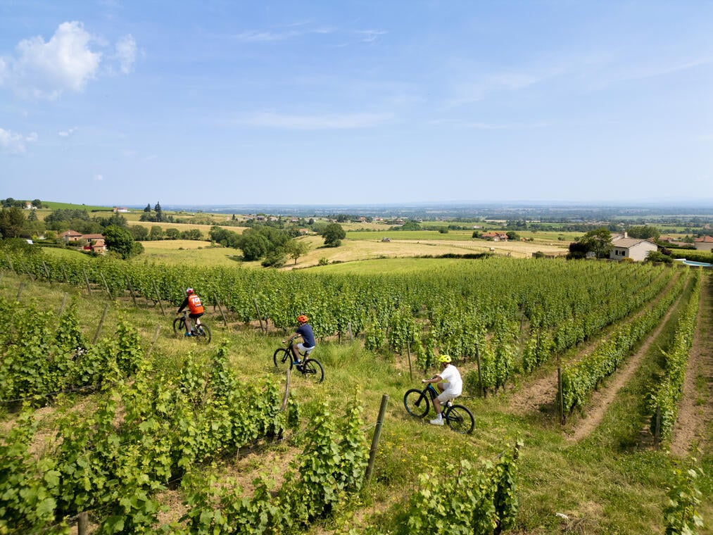 Boucle VTT/VTC Route des Vins