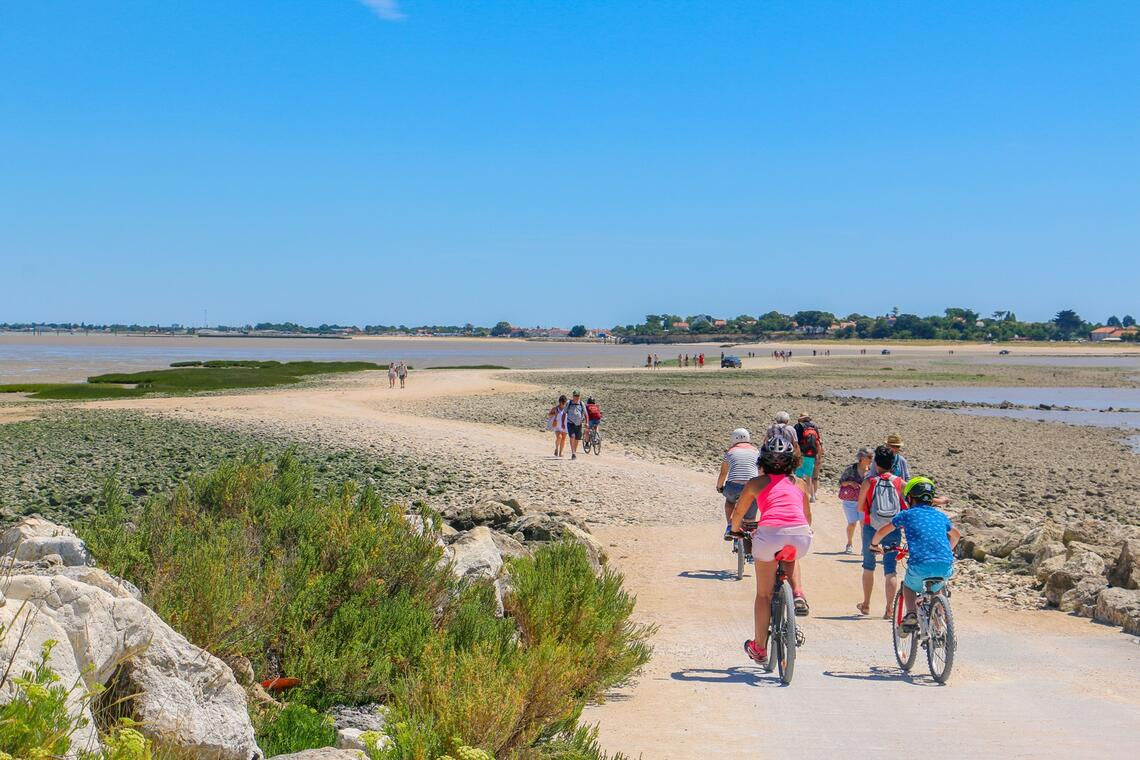 L'île Madame sans voiture_Port-des-Barques