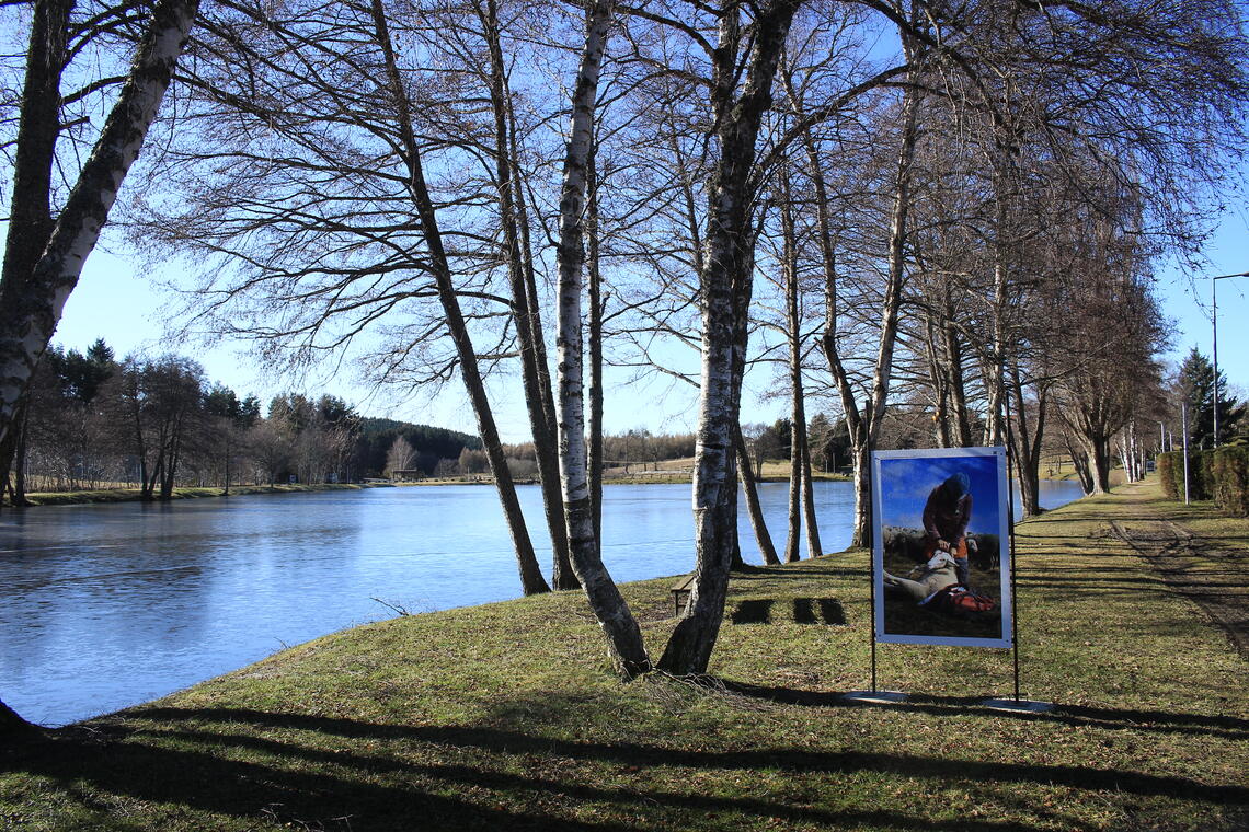 Exposition de photographies sur le thème des estives_Usson-en-Forez