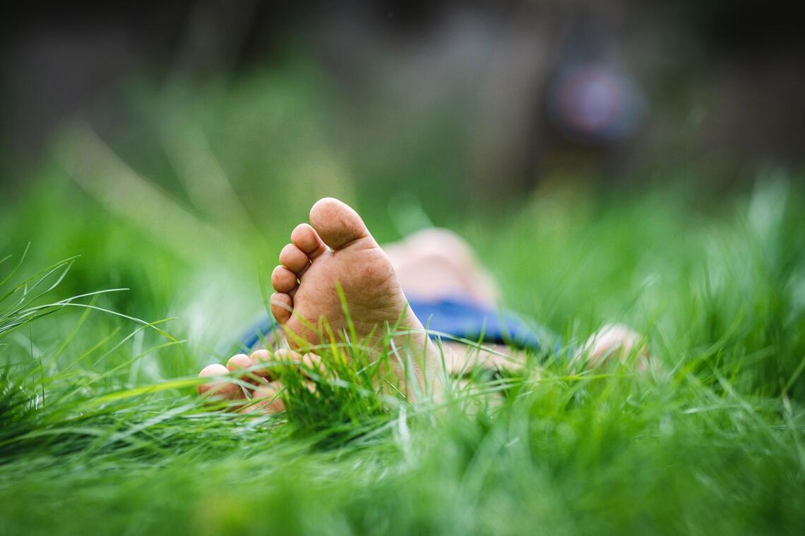 sieste