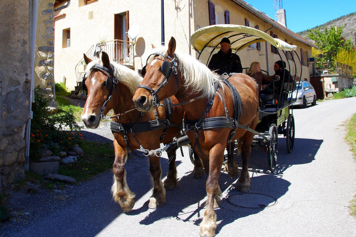 Promenade en calèche