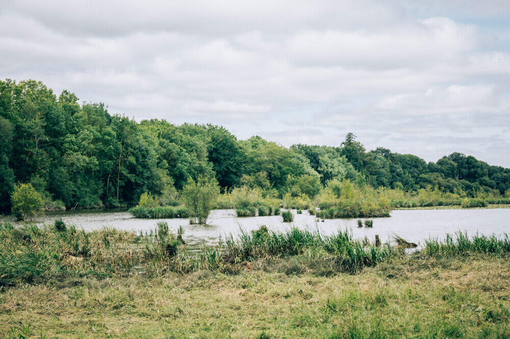 Marais de Montreuil-Juigné