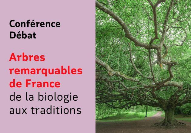 Conférence-débat "Abres remarquables de France"_Montluçon
