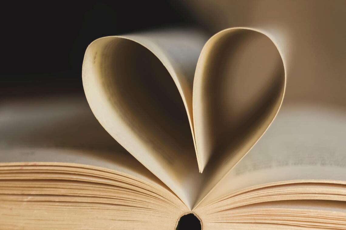 Journée du livre et de la B.D._Cérilly