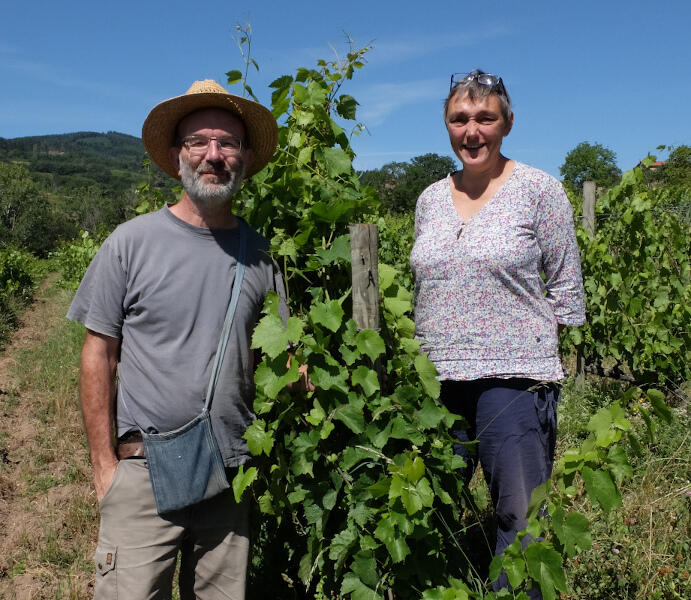 Les vins de Chamaille