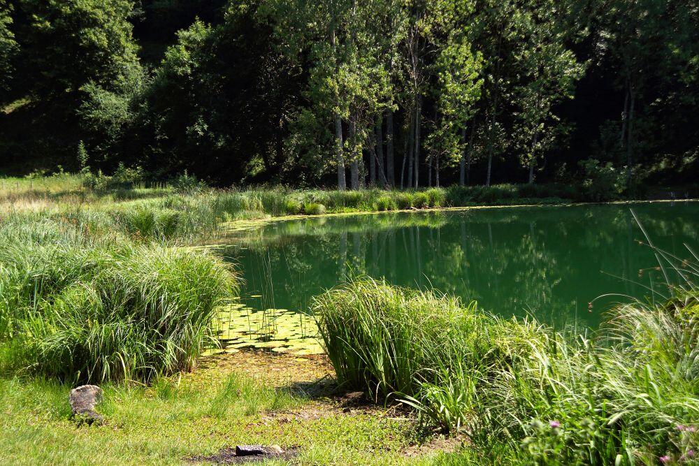 Rando pédestre Lac Saint Sixte Valdaine