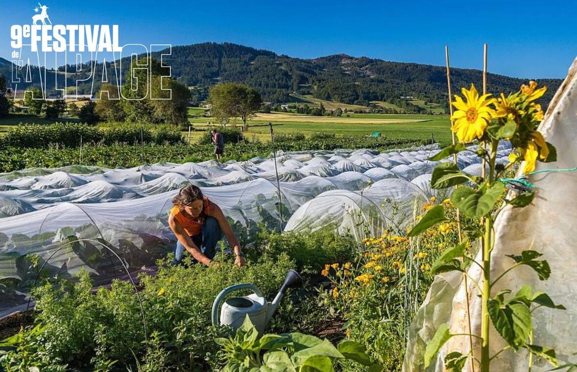 Festival de l'Alpage : Visite de la ferme LéguMontagne_Ancelle