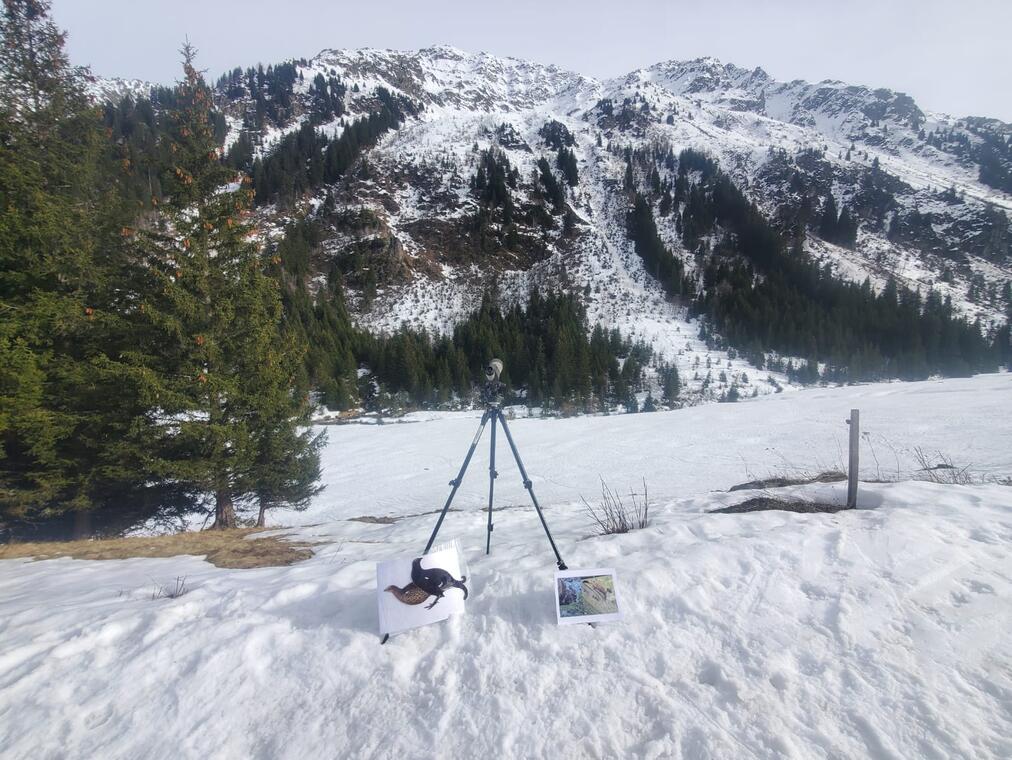 Maraudage en Réserve Naturelle : échanges "Jours blancs au sommet"_Les Contamines-Montjoie