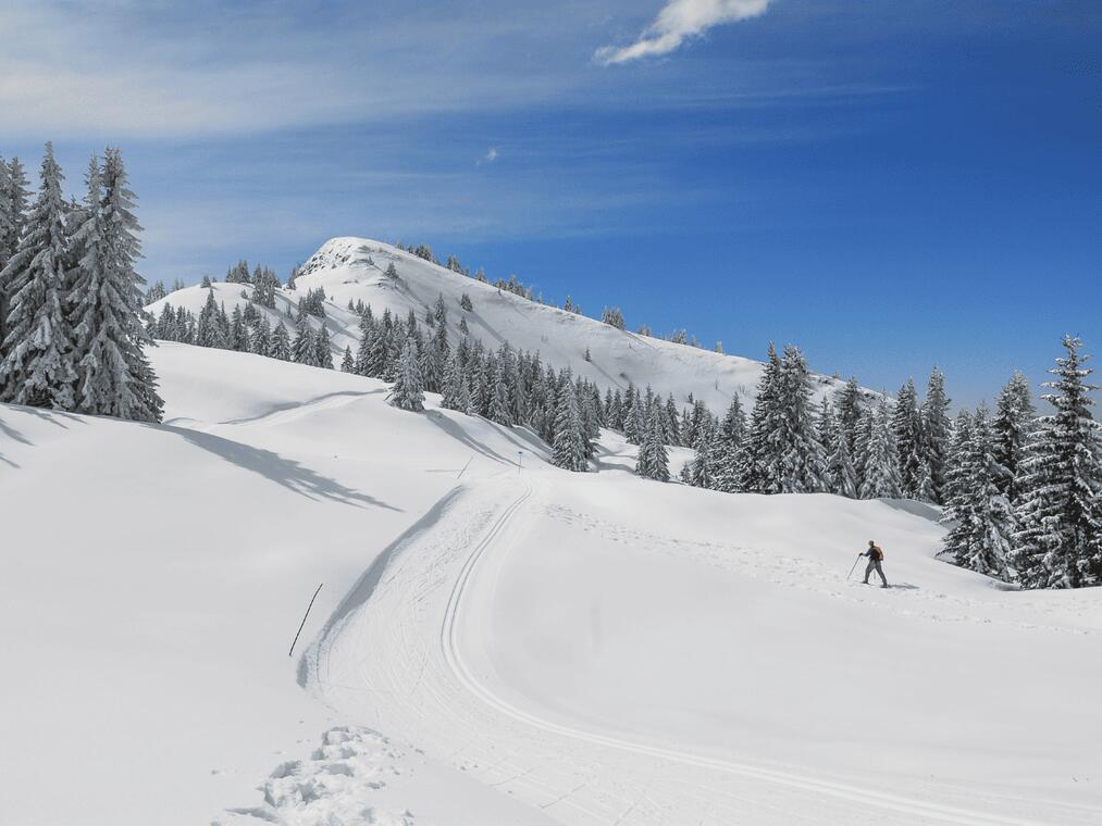 Sortie raquette à neige dans Belledonne_Crêts en Belledonne