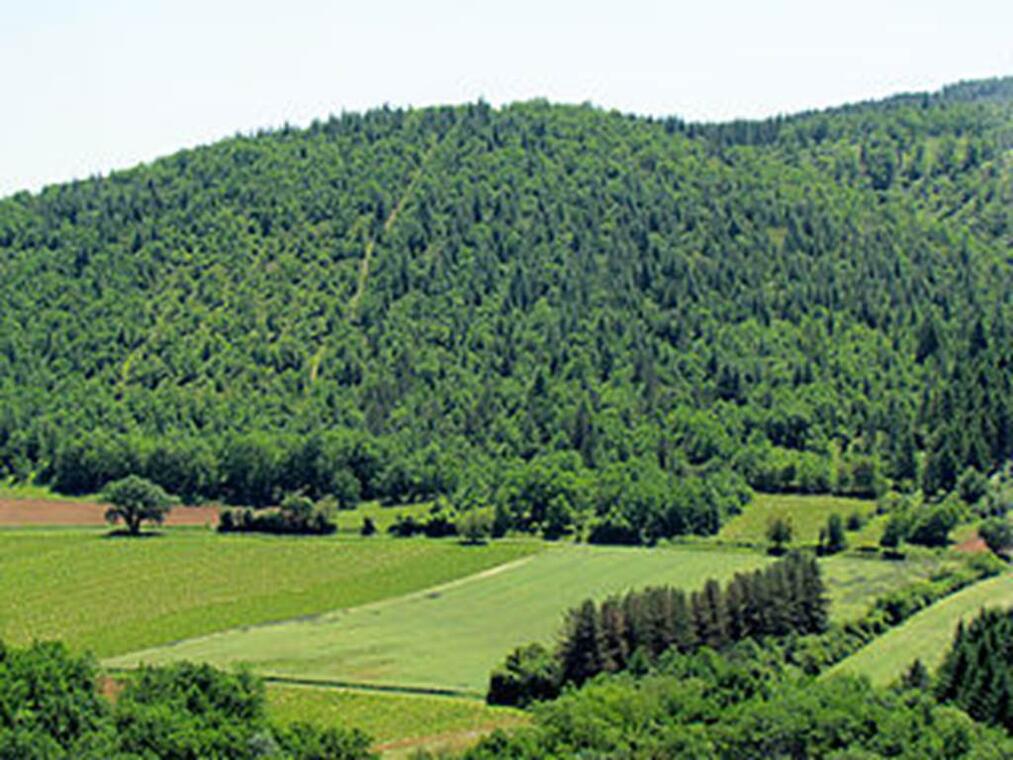 Causses du Quercy