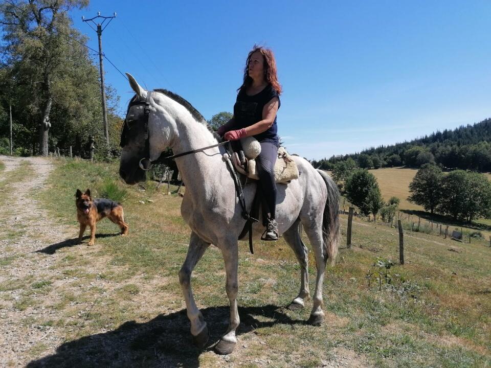 Randonnées et séjours équestres dans le Pilat