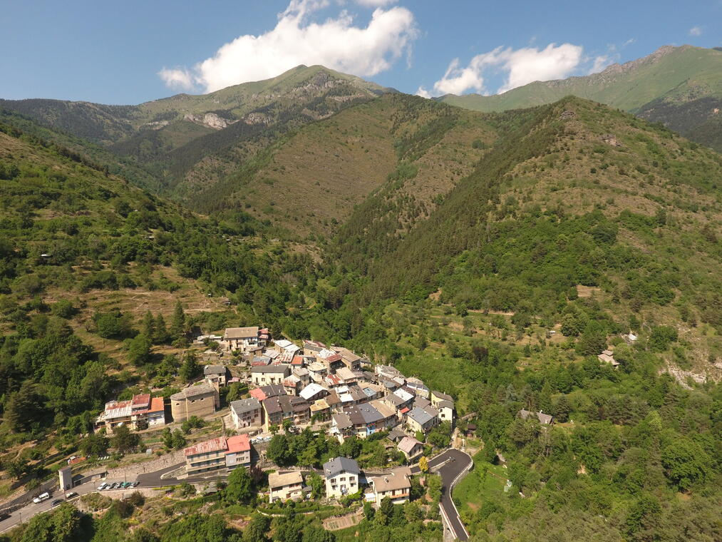 morignole