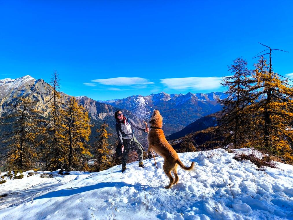 La marmotte en balade : les canaux_Puy-Saint-Vincent