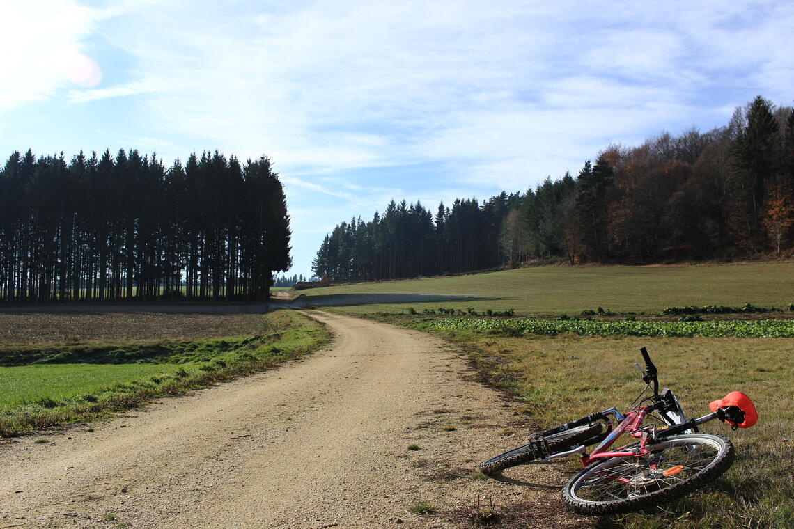 La roche du diable - circuit VTT