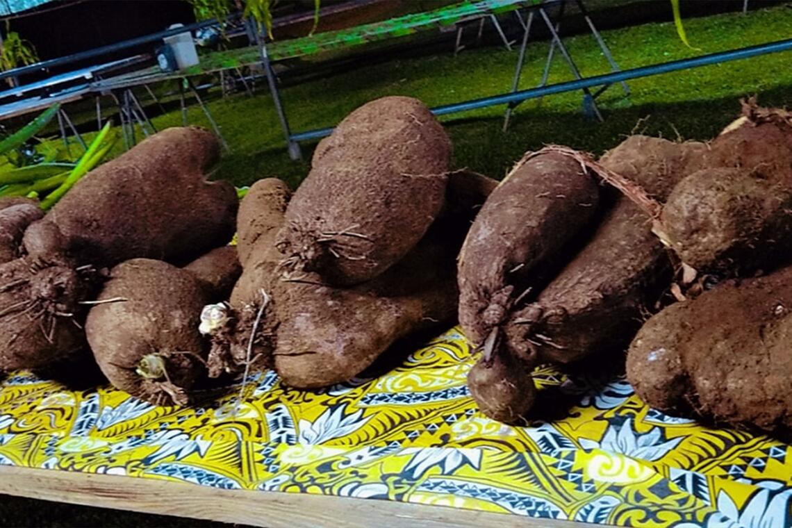 Fête du Wailu