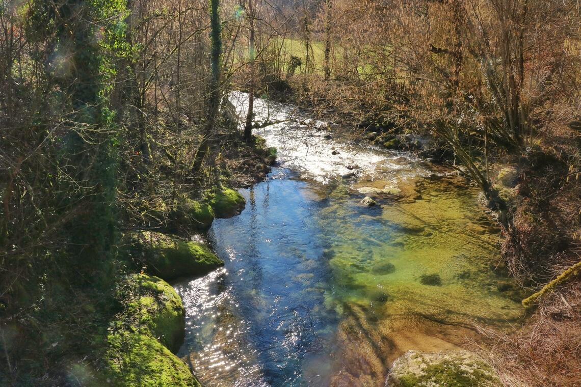 Animation pour enfant 7-13 ans aux marais de Lavours - Rando aquatique sur l'Arvière_Valromey-sur-Séran