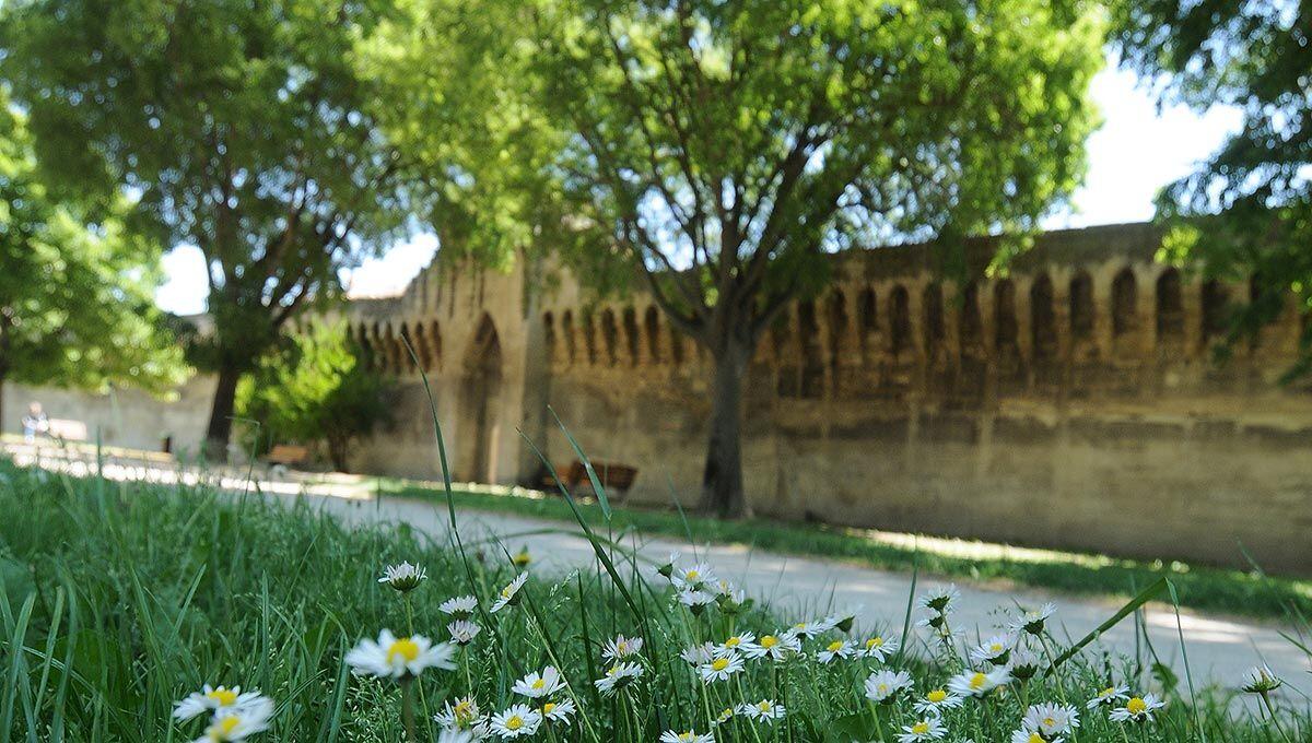 Balade des remparts - voie verte