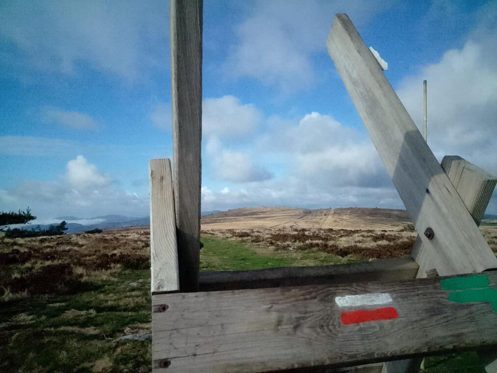 L'été est là ! Randonnée naturaliste sur les Hautes-chaumes_Roche