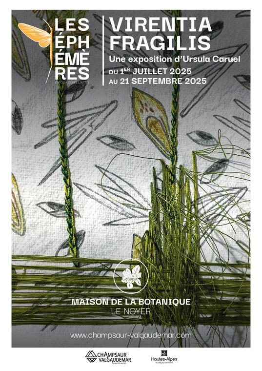 Les Éphémères : Virentia Fragilis_Le Noyer