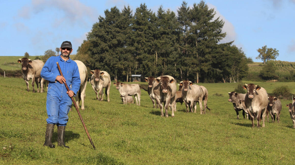 Ferme de Fontrubleau_Cremeaux