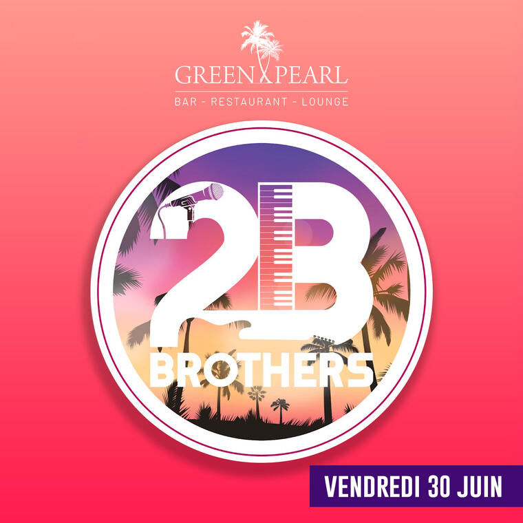 2B Brothers en concert
