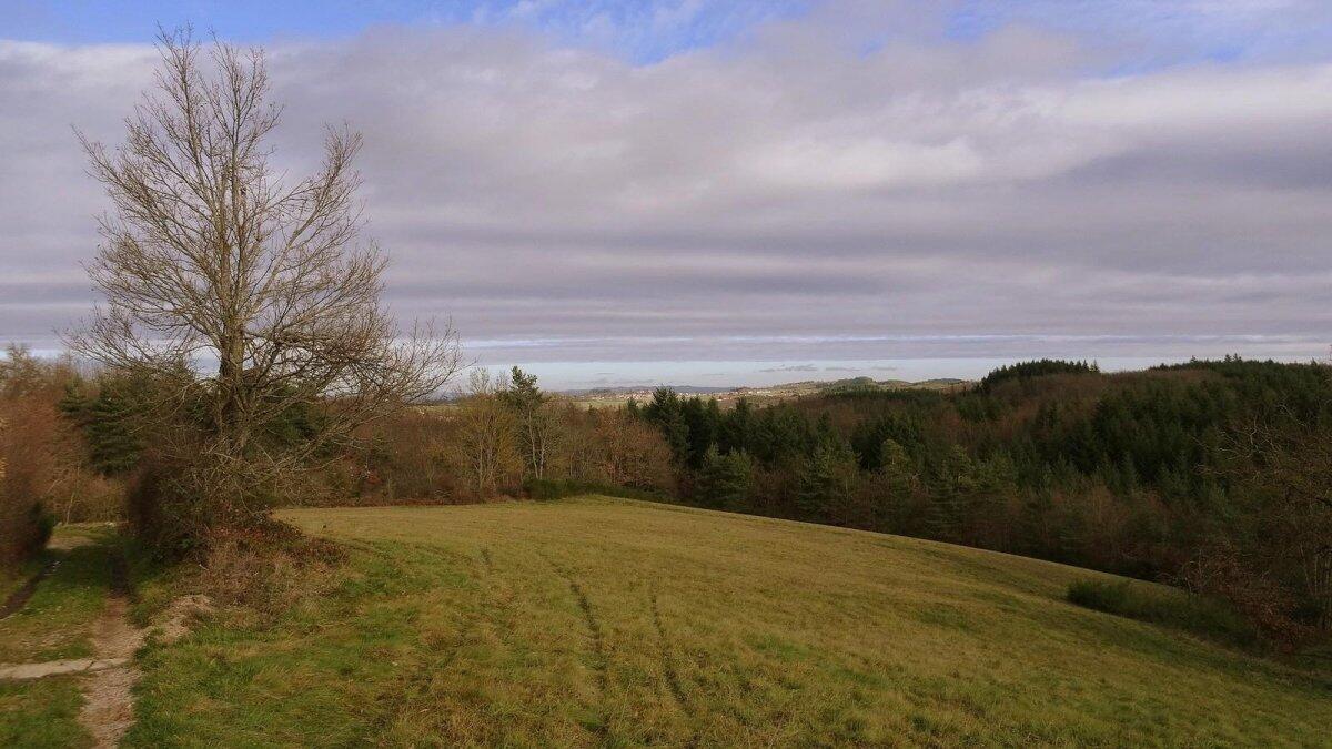 sentier des renardières