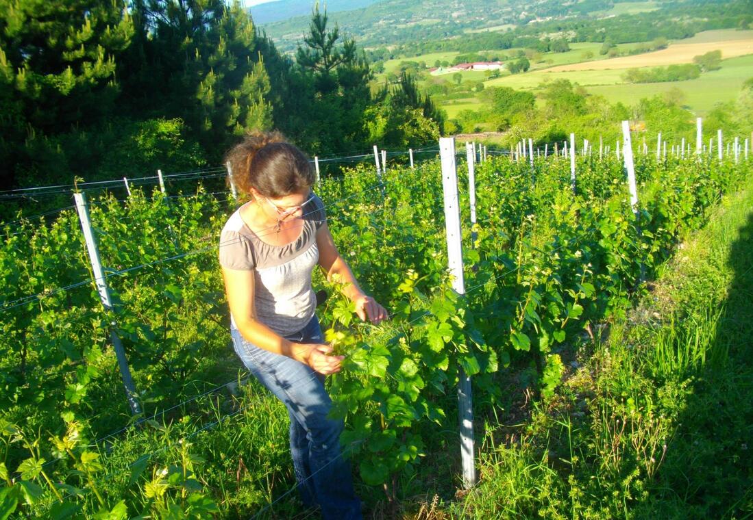 Domaine Antoine Véronique Cerdon