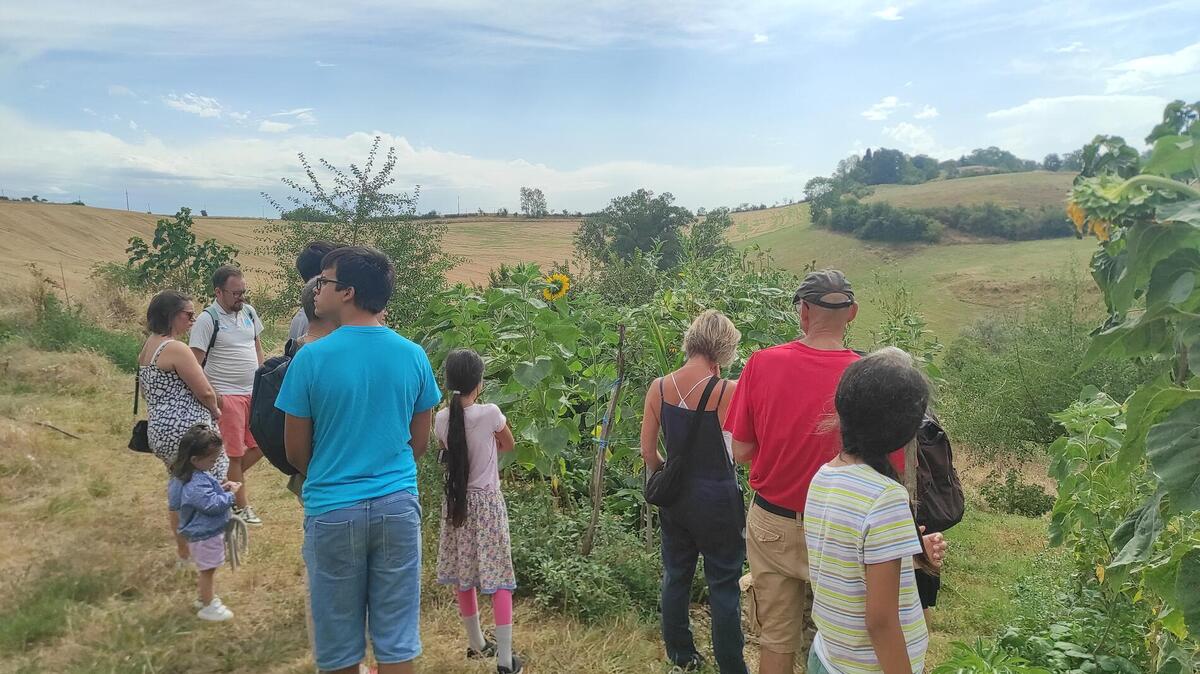 Mardi des producteurs - Ferme des cycles_Le Fossat