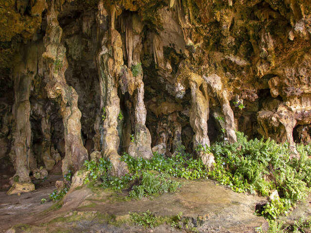 Grotte Tane'Ua Poto - Tahiti Tourisme