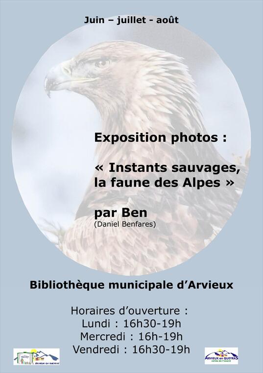 Exposition photos : Instants sauvages, la faune des Alpes_Arvieux