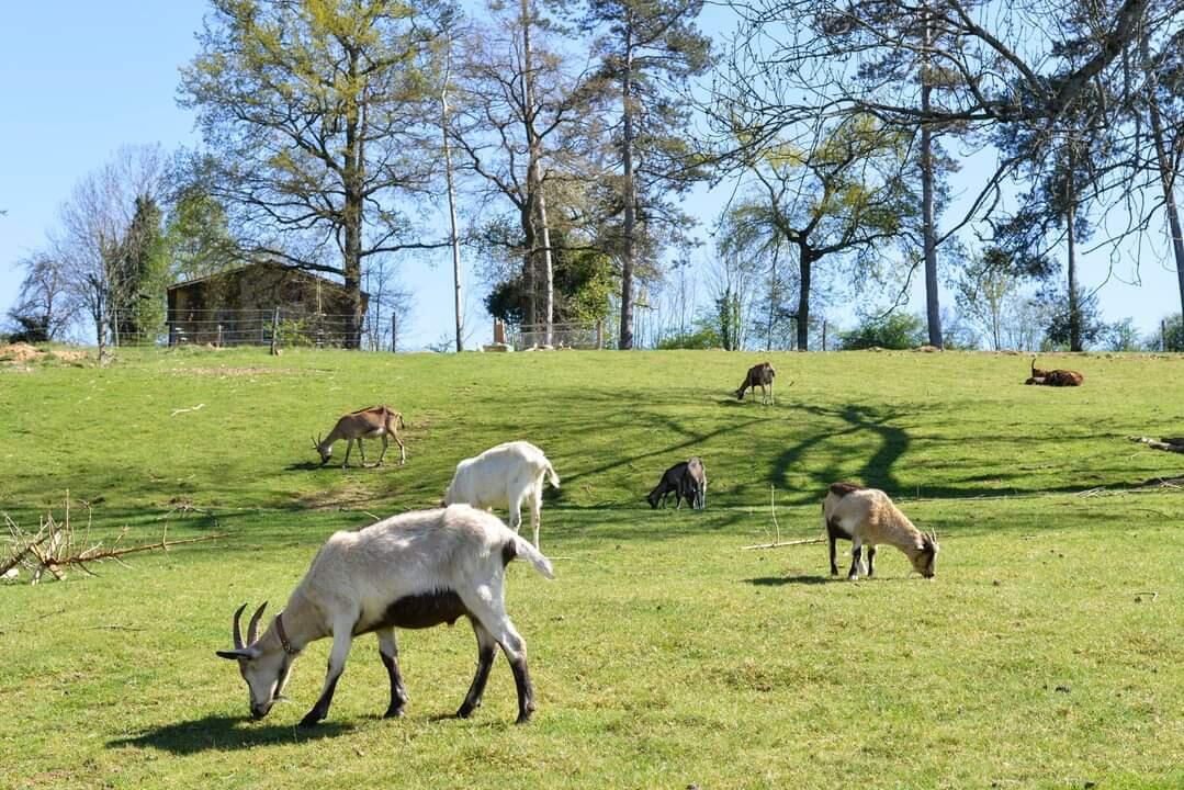 Domaine de la doux